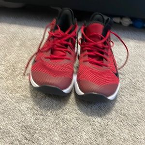 Lebron whiteness IV size 14 Men